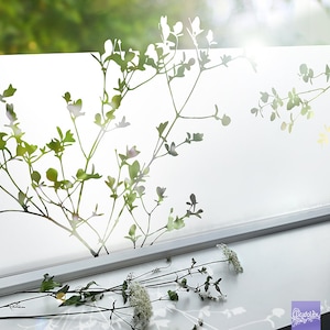 Könnte beinhalten: Ein mattes Fenster mit einer Silhouette von belaubten Ästen und einer weißen Fensterbank. Auf der Fensterbank liegen ein paar weiße Blumen.