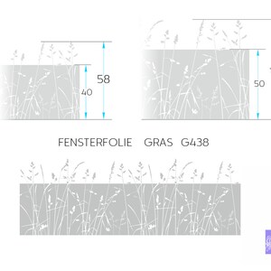 May include: A window film with a grass design. The film is 58 inches tall and 40 inches wide. The film is also available in a larger size, which is 75 inches tall and 50 inches wide. The film is called "GRAS G438".