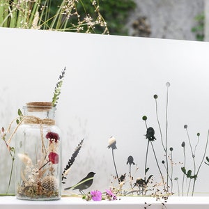May include: A clear glass jar with a cork lid and twine tied around the neck, filled with dried flowers and greenery. The jar is sitting on a white surface in front of a white background with a silhouette of tall grasses and wildflowers.