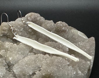 Boucles d'oreilles coyote baculum