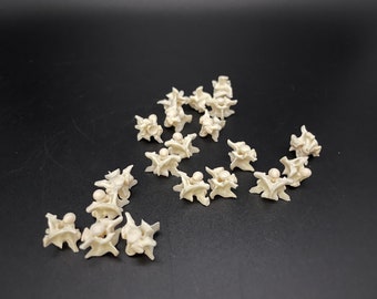 Snake Vertebrae and Ribs 54 Ball Python - Etsy