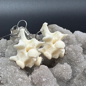 May include: A pair of earrings featuring white bone-like pendants, resembling vertebrae, hanging from silver hooks. The earrings are displayed on a bed of white crystals.