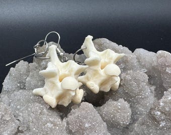 Boucles d'oreilles vertèbres de python sanguin