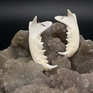 Mink jaw earrings