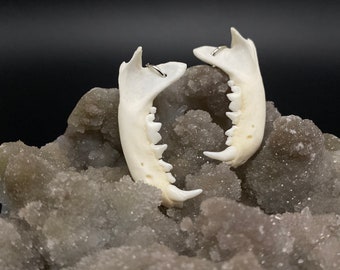 Mink jaw earrings