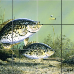 May include: A detailed painting of two crappie fish in an aquatic environment. The fish are black and white with yellow fins, set against a green background with aquatic plants. A fishing lure is visible above the fish.