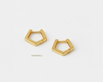 pentagon hoop earring tortoise hoop earring tan acetate hoop earring long pentagon shape earring