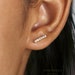 see more listings in the Ear climbers section