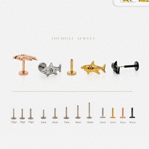 Dainty Shark Threadless Flat Back Earrings, Nose Stud, 20,18,16ga, 5-10mm Surgical Steel SHEMISLI SS579