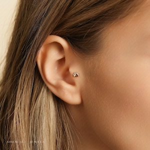 Clou tragus sans filetage Tiny Paw, dos plat, calibre 20,18,16, 5-10 mm unisexe, acier chirurgical SHEMISLI SS887