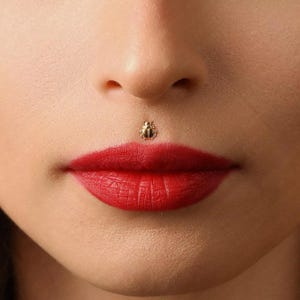 Beetle Lip Stud, Threadless Flat Back, Minimalist Style, A-SS574