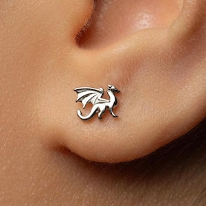 May include: A small, silver-toned stud earring shaped like a dragon in profile. The dragon is depicted with its wings partially spread, a long curved tail, and a distinct head. The earring is positioned on the skin of an earlobe.