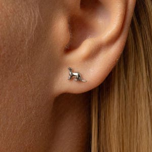 Tiny Ferret Threadless Flat Back Earring, 20,18,16ga, 5-10mm Unisex, Surgical Steel SHEMISLI SS1019