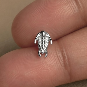 May include: A small, silver-colored trilobite pendant. The pendant is highly detailed, showcasing the segmented body and distinctive head shape of the ancient marine arthropod. The pendant is likely made of metal and is designed to be worn as jewelry.