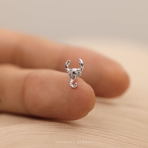 Tiny Scorpion Threadless Flat Back Earring, 20,18,16ga, 5-10mm Unisex, Surgical Steel SHEMISLI SS1145