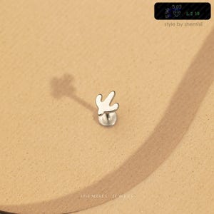 Tiny Cactus Threadless Flat Back Earring, 20,18,16ga, 5-10mm Unisex, Surgical Steel SHEMISLI SS918