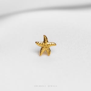 Tiny Starfish Threadless Flat Back Earring, 20,18,16ga, 5-10mm Unisex, Surgical Steel SHEMISLI SS1149