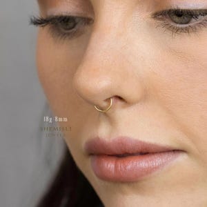 Titanium Round Nose Ring, Septum Hoop, Minimalist Style, A-SH436 SH446 SH456