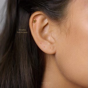 Octopus Stud, Threadless Flat Back Earring, Minimalist Style, A-SS576 image 3