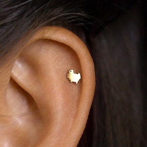Tiny Pom Studs, Pomeranian Dog Earring, Unisex, Gold, Silver SHEMISLI SS687 Butterfly End, SS688 Screw Ball End (Type A) LR