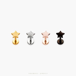 Tiny Star Threadless Flat Back Earring, 20,18,16ga, 5-10mm, Unisex, Surgical Steel, SHEMISLI SS567