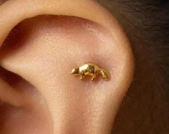 Beaver Stud, Threadless Flat Back Earring, Minimalist Style, A-SS1027