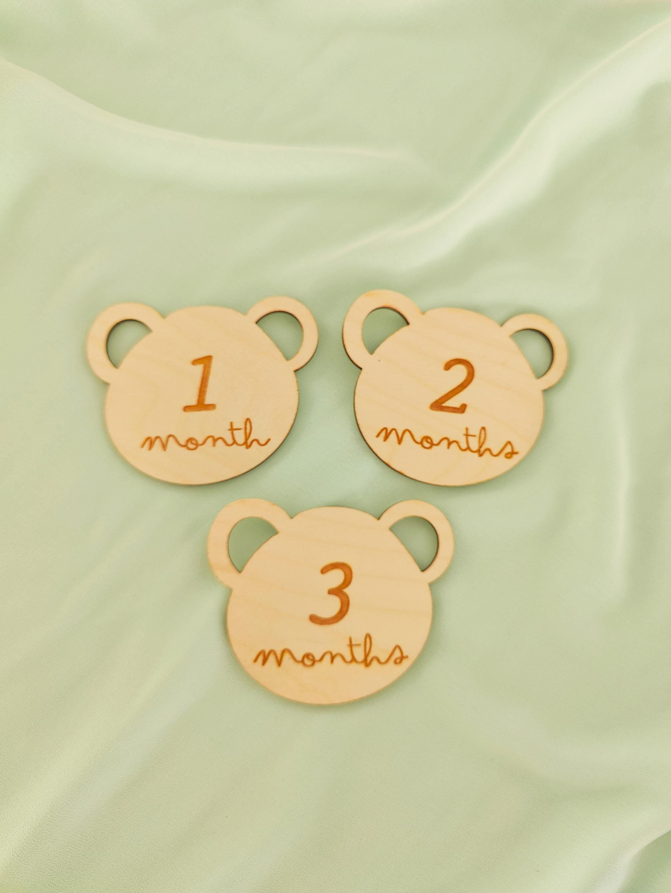 Teddy Bear Wooden Monthly Milestone Plaques: Baby Photo Prop - Etsy