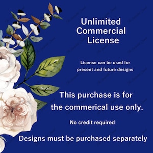 Commercial License for ALL Designs