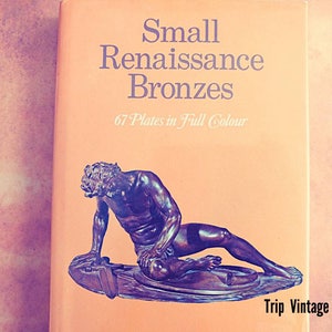 Vintage Book Small Renaissance Bronzes by Maria Grazia Ciardi Dupre 67 Pllates in Full Color Translated by Betty Ross Hamlyn Copyright 1970 image 1