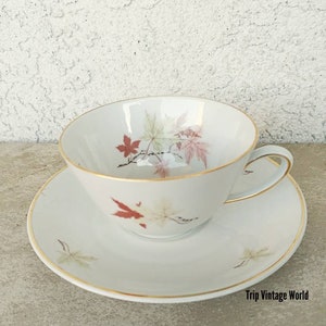 Winterling Bavaria China Cup and Saucer: Mid-Century Leaves Design