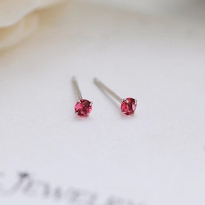 以下が含まれることがあります： 小さな銀製のスタッドピアス。それぞれに丸い赤い宝石が1つずつ付いています。
