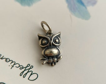 May include: A silver owl charm with black eyes and a branch in its talons.