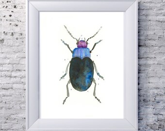 Cockroach Art Etsy Cockroach Art Etsy