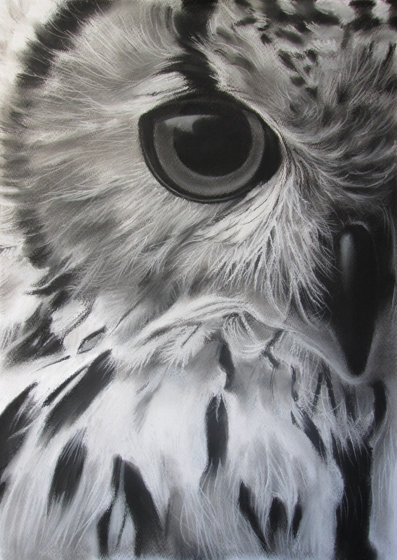 Owl Painting Charcoal Drawing Bird Wall Art Home Decor Etsy