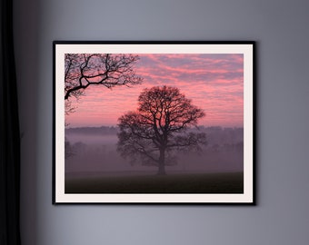 England Wall Art, British Wall Art, Tree Print, English Nature Photography, Winter oak tree silhouette at sunset in English countryside, UK