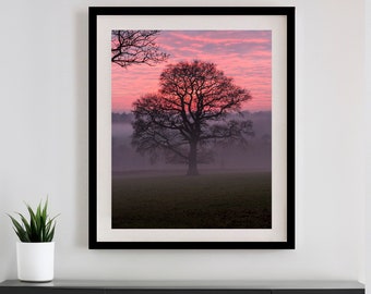 England Wall Art, British Wall Art, Tree Print, English Nature Photography, Winter oak tree silhouette at sunset in English countryside, UK