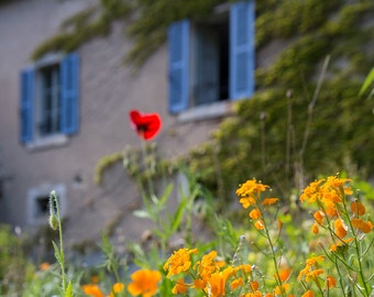 French Wall Art, Travel Photography, France Print, Rustic France Art - French cottage garden with poppy, stone rustic building blue shutters