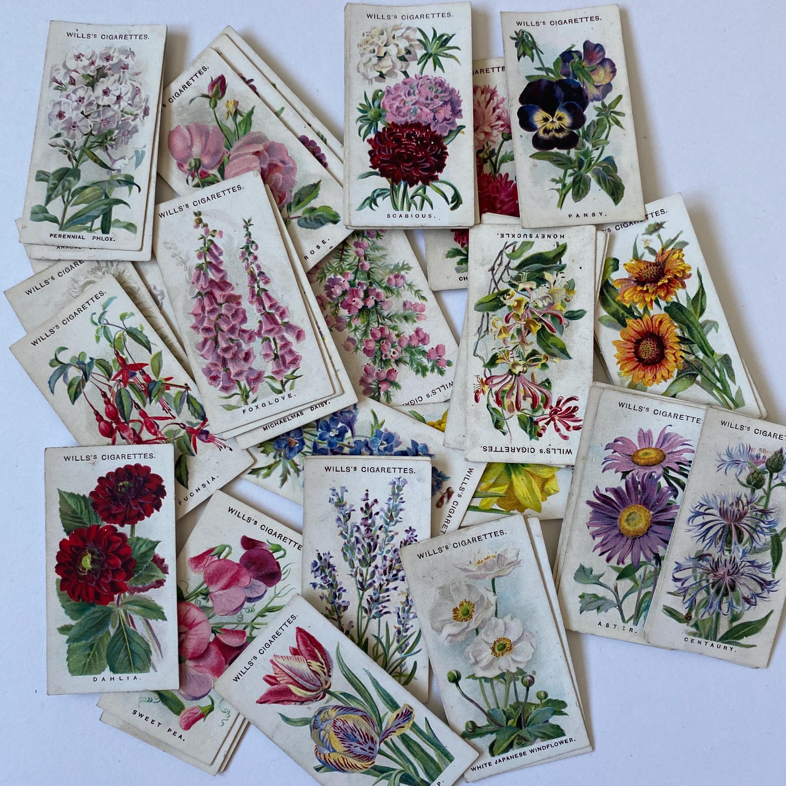 Wills's Cigarettes Cards - Etsy