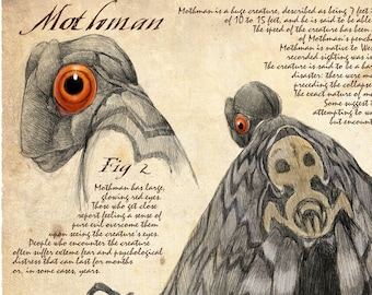 Mothman Naturalist Plate