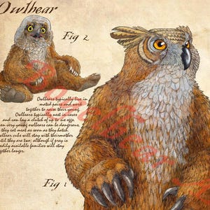 Może przedstawiać: Ilustracja Owlbeara, stworzenia z ciałem niedźwiedzia i głową sowy. Obraz zawiera mniejszą ilustrację młodego Owlbeara i tekst opisujący jego zachowanie.