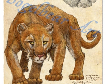 Plato naturalista de gato wampus