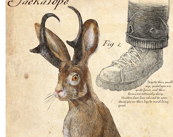 May include: A detailed illustration of a Jackalope, a mythical creature with antlers, depicted in a vintage style. The illustration includes text describing the creature's characteristics and medicinal properties. The text reads "Jackalope milk is said to have medicinal properties capable of curing most illnesses. Between their speed and aggression, capturing a jackalope can be difficult, but the creature can be lured in with their favorite drink: whiskey."