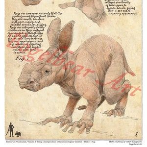 Plate 5: Nug, Bestairum Vocabulum, or, a Cryptozoological Compendium