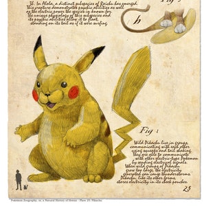 Pokegraphy Plate 025