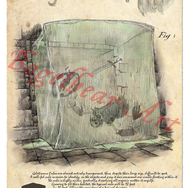 D&D Gelatinous cube — Bestiarum Vocabulum, Volume 1–Being a Compendium of Faerûn Fauna, DnD, Dungeons and Dragons