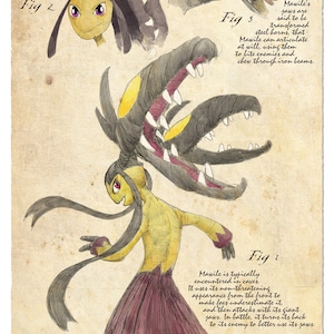 Pokegraphy Plate 303