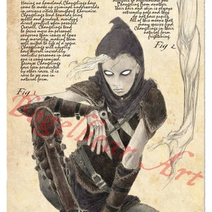 D&D Changeling — Bestiarum Vocabulum, tom 1 — będące kompendium fauny Faerûnu, DnD, Dungeons and Dragons