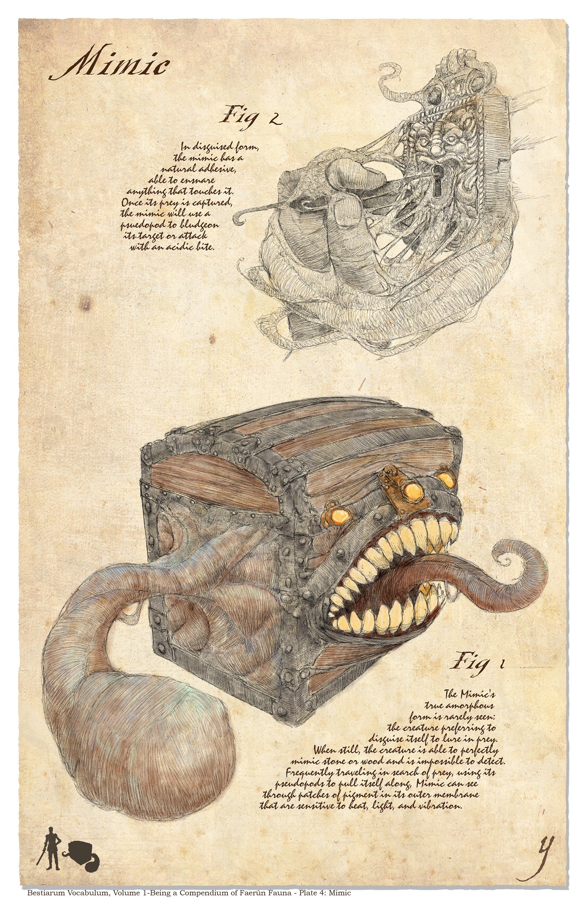 The Mimic Compendium (for 5e)