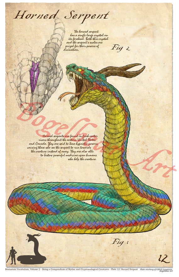 Horned Serpent Naturalist Plate
