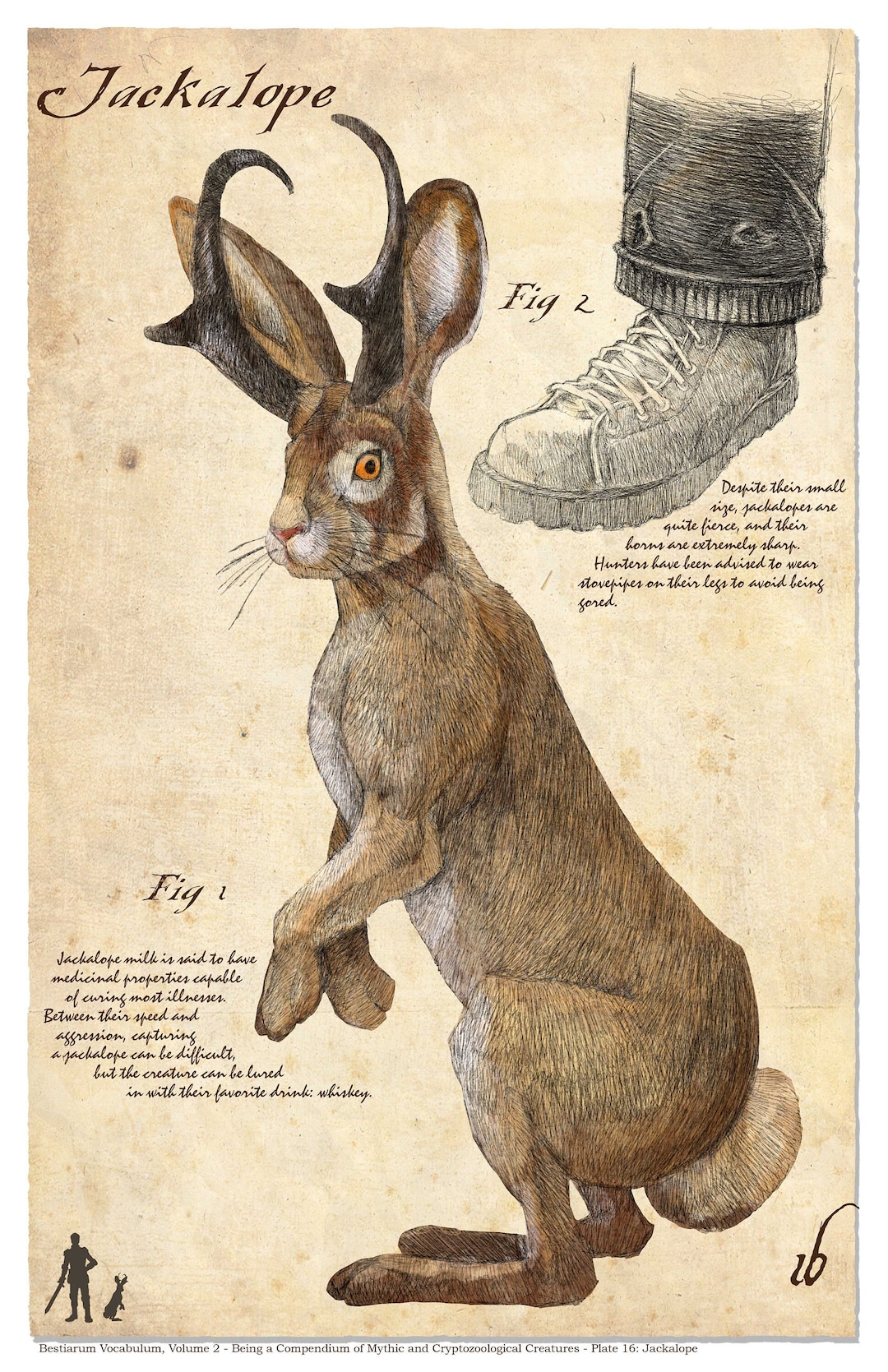 Jackalope Naturalist Print - Etsy